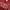 Giordano Streetwear Casual Sweater Pria red photo 4