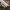 VANS Skater Casual Casual shoe Pria white black photo 3