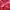 Goth Emo Short Wanita burgundy red photo 5