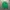 Polo Ralph Lauren Casual T-shirt Pria Green