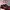 Nike Y2K Sportswear Pria red black photo 2