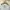 National Geographic Sportswear Casual T-shirt Pria white photo 5