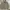 Nike Y2K Luxury Windbreaker Pria tan khaki photo 1