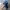 Japanese brand Gorpcore Sportswear Hat Pria blue photo 1