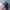 Japanese Brand Gorpcore Sportswear Hat Pria Blue