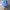 Japanese brand Gorpcore Sportswear Hat Pria blue photo 2