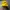 K2 Gorpcore Sportswear Hat Pria yellow photo 1