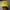 K2 Gorpcore Sportswear Hat Pria Yellow