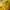 K2 Gorpcore Sportswear Hat Pria yellow photo 4