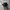 Japanese brand Grunge Goth Hat Pria black photo 3