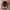 Japanese brand Gorpcore Sportswear Hat Pria brown orange photo 4