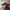 Japanese brand Gorpcore Sportswear Hat Pria brown orange photo 3