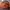 Japanese Brand Gorpcore Sportswear Hat Pria Brown Orange