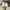 Nike Streetwear Sneakers Wanita white photo 2
