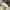 Nike Streetwear Sneakers Wanita white photo 1