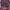 Sportswear Futurist Jersey Pria multicolor photo 7