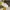 Nike Streetwear Sneakers Wanita white photo 1