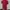 Nike Streetwear Sportswear T-shirt Pria red photo 7