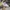 New Balance Streetwear Sneakers Pria gray blue photo 1
