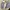 Cosplay Casual Casual dress Wanita white blue photo 4
