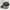 Champion Biker Sportswear Hat Pria Red Black