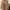Luxury Trench Coat Wanita Brown