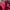 Polo Ralph Lauren Casual Polo shirt Pria burgundy photo 5