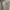 Russell Athletic Casual Hoody Pria gray photo 4