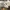 New Balance Streetwear Sneakers Pria white photo 1