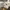 New Balance Streetwear Sneakers Pria White