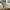 New Balance Streetwear Sneakers Pria cream photo 1