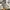 New Balance Streetwear Sneakers Pria Cream
