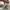 New Balance Streetwear Sneakers Pria cream photo 3