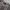 Burberry Casual Sweatshirt Pria tan gray photo 2