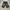 Vintage Y2K Jeans Pria black gray photo 1
