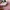 Adidas Casual Sneakers Wanita pink cream photo 7