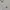 Vivienne Westwood Casual Fleece Wanita white photo 3