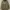 Undercoverism Biker Casual Track jacket Pria green photo 1