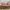 Melissa Coquette Flat Wanita pink photo 4