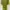 Casual Going out dress Wanita green photo 3