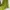 Casual Going out dress Wanita green photo 4