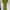Casual Going out dress Wanita green photo 1