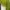 Casual Going out dress Wanita green photo 2