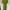 Casual Going out dress Wanita green photo 5