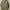 Vintage Biker Track jacket Pria green photo 1