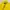 Adidas Streetwear Sportswear Vest Pria yellow photo 2