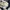Reebok Streetwear Sportswear Windbreaker Pria white photo 7