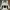 Reebok Streetwear Sportswear Windbreaker Pria white photo 2
