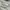 MLB Streetwear Sportswear Sweater Pria cream photo 5