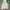 Calvin Klein Streetwear Hoody Pria white gray photo 1